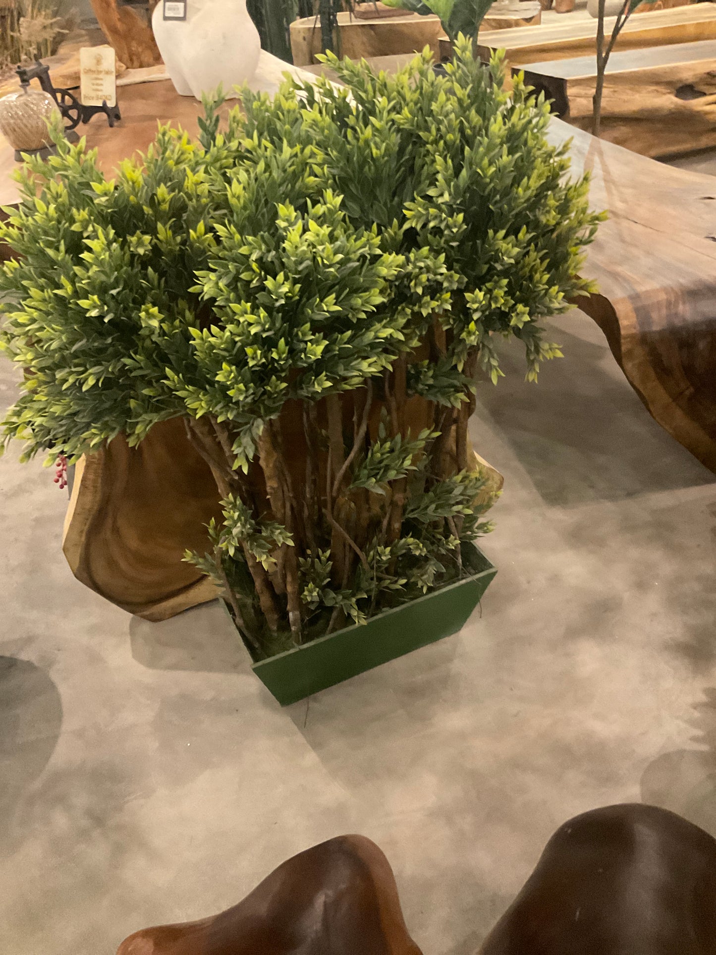 Plant 2
