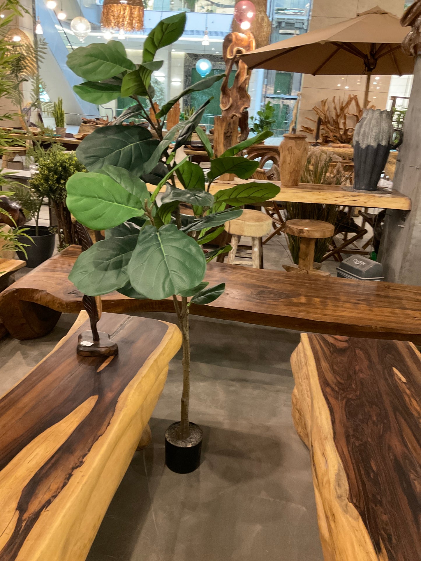 Plant p