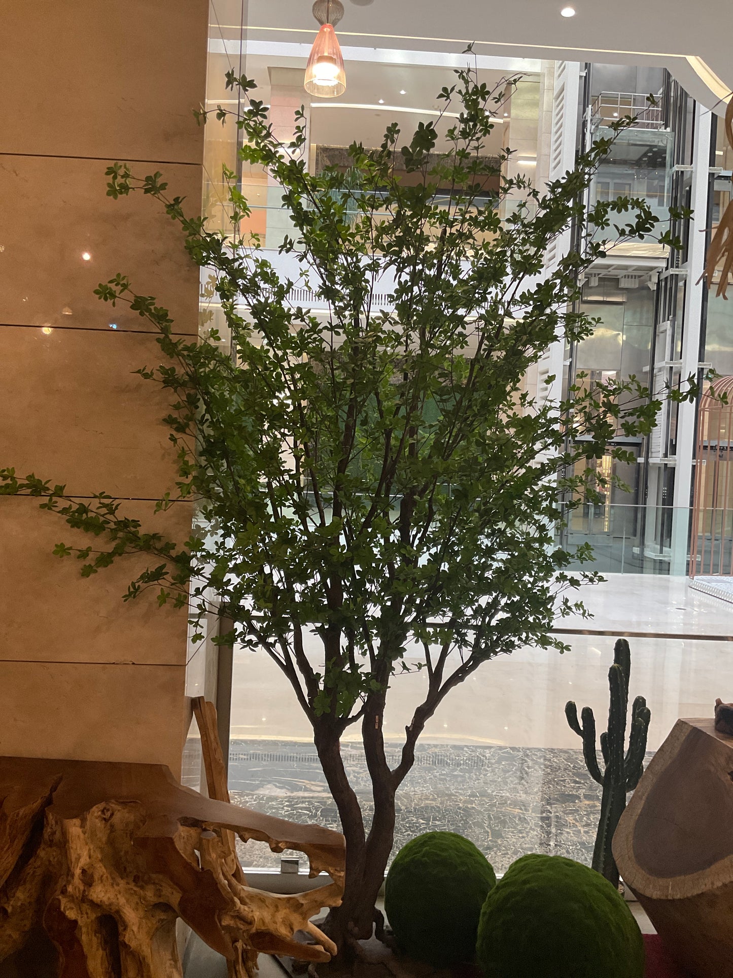 Plant.p240.L3m