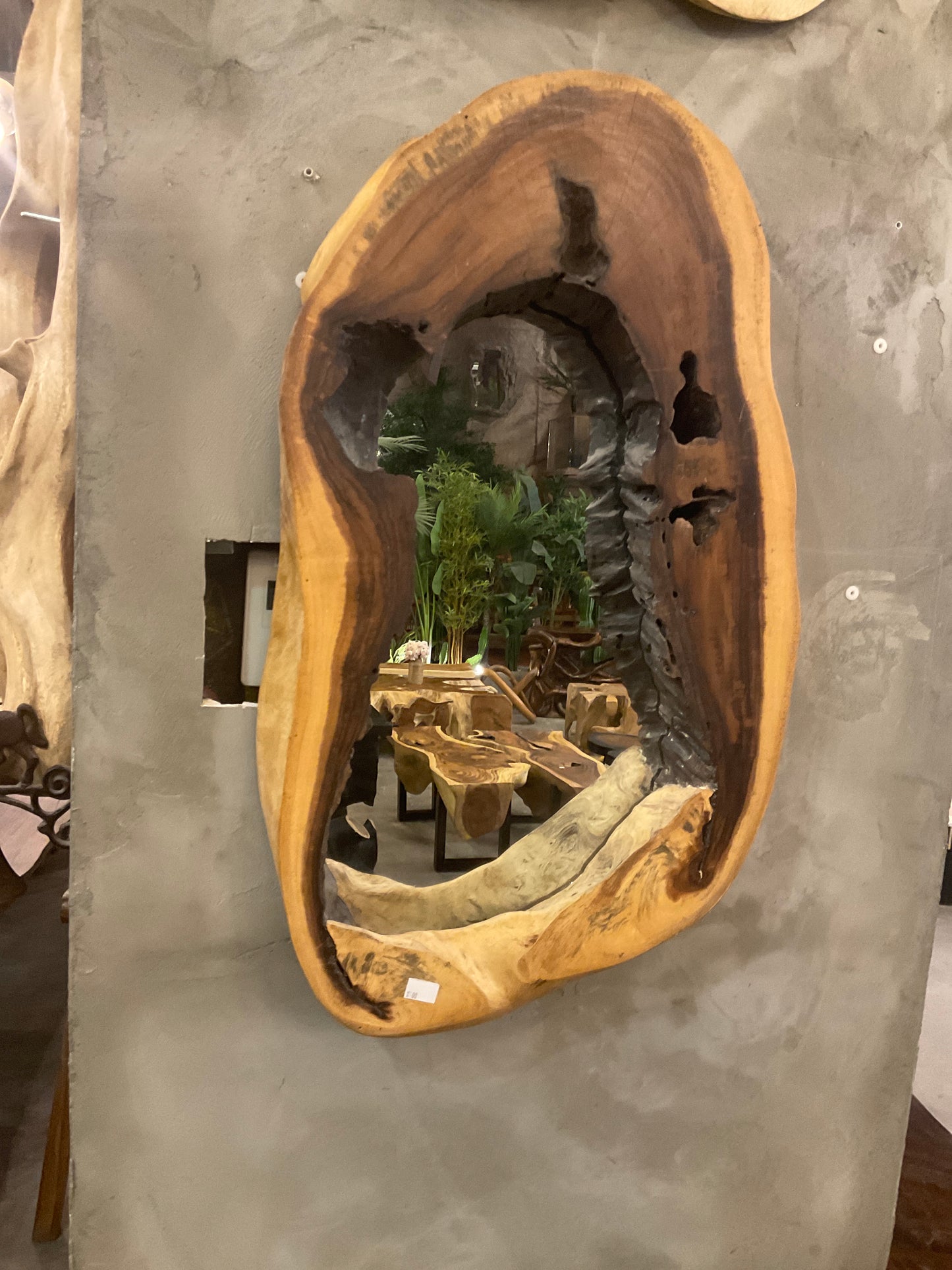 Art mirror 100