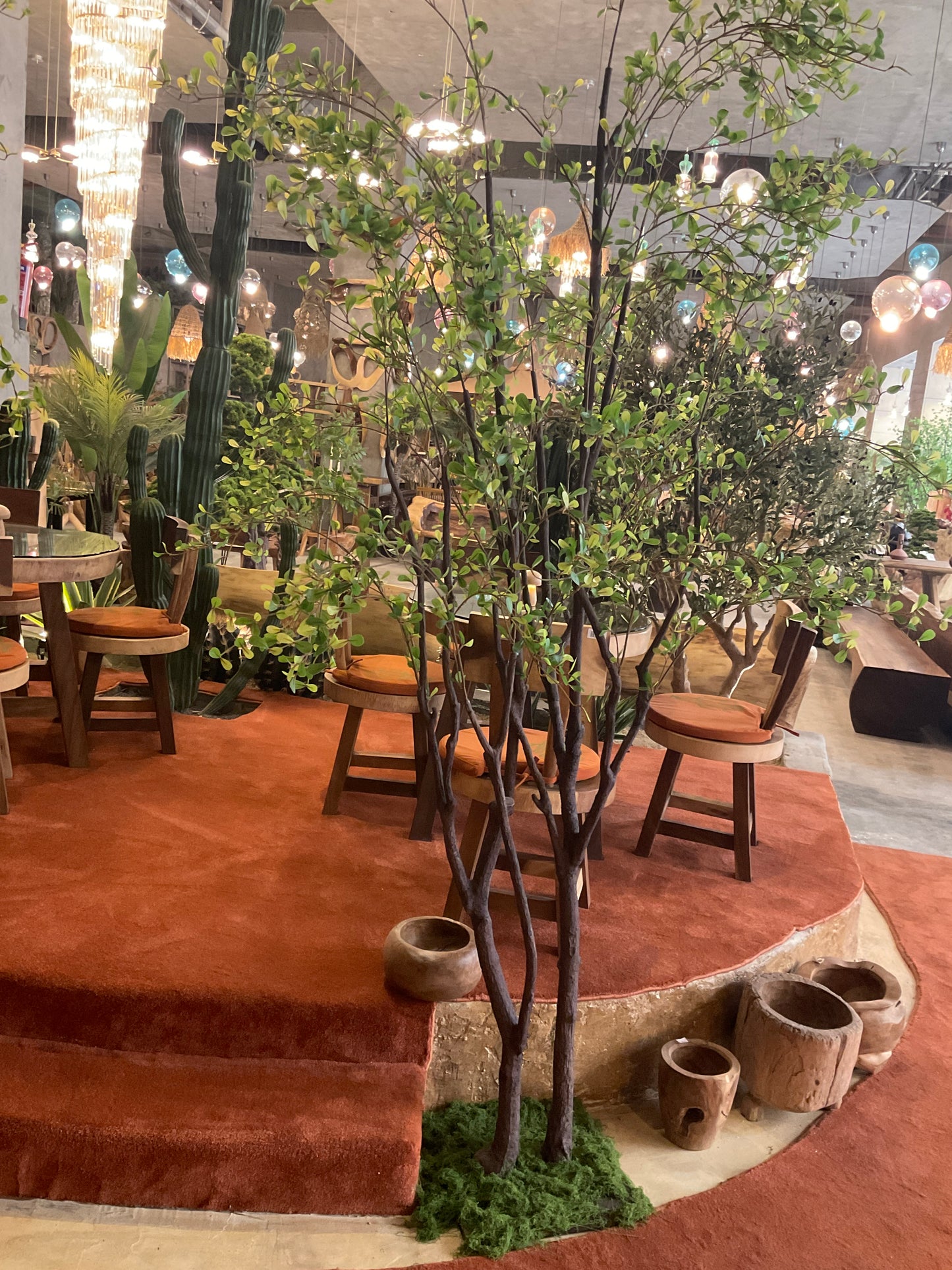 Plant 3