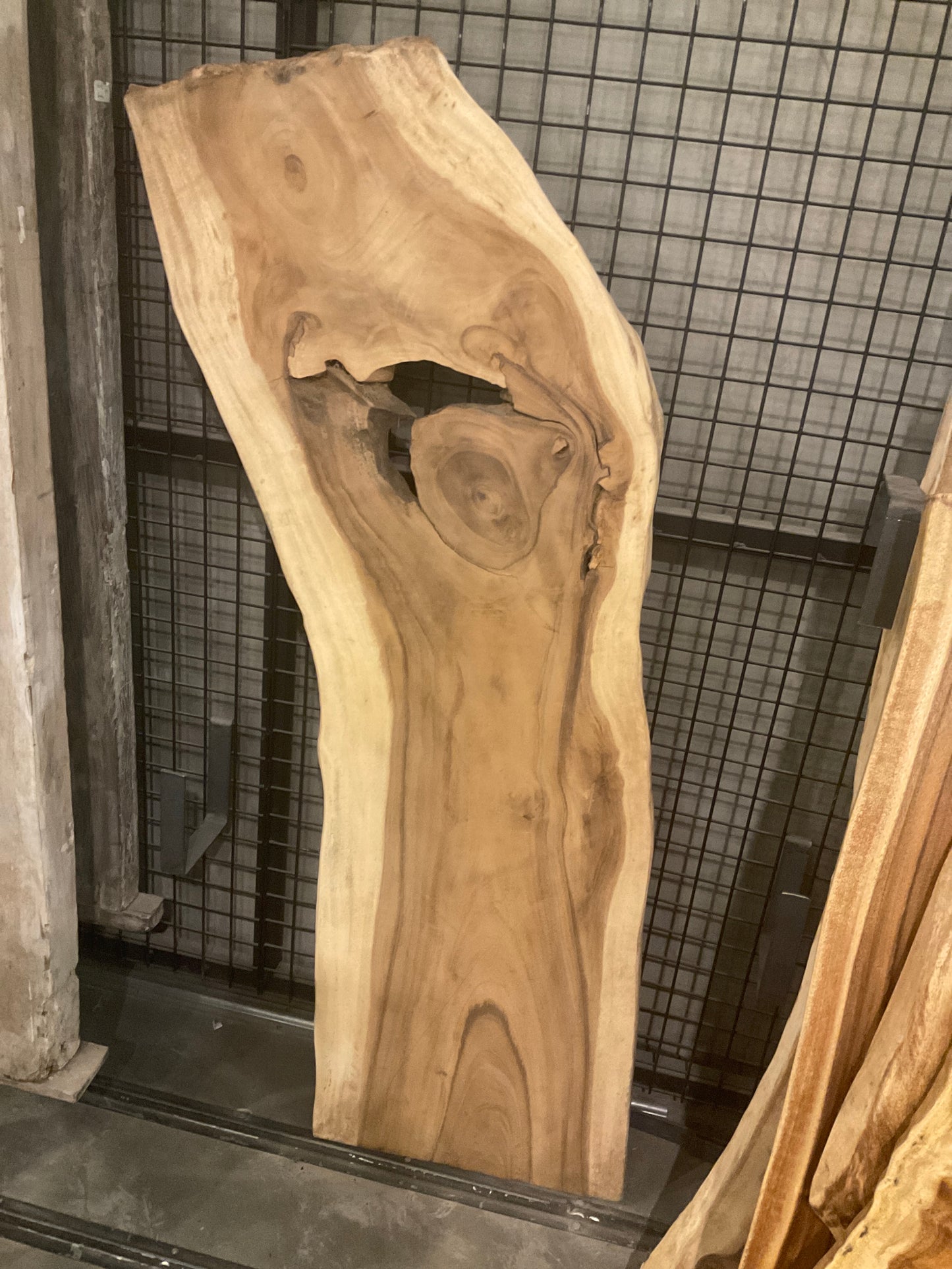 أسلابه مع ارجل حديد