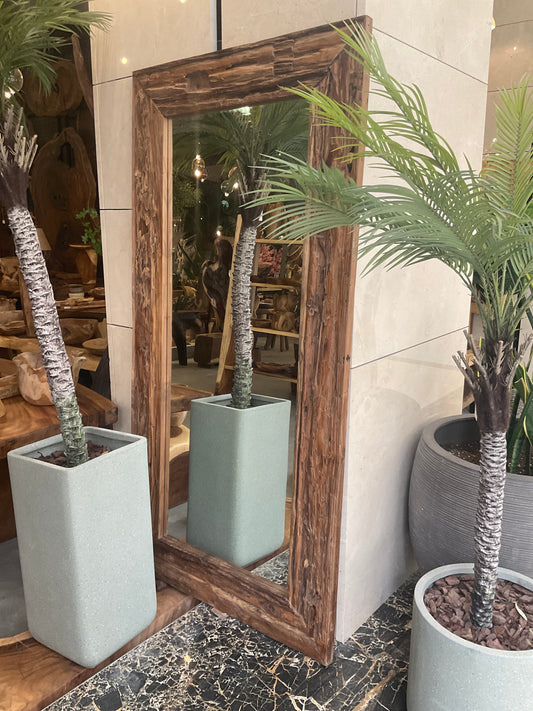 Mirror200