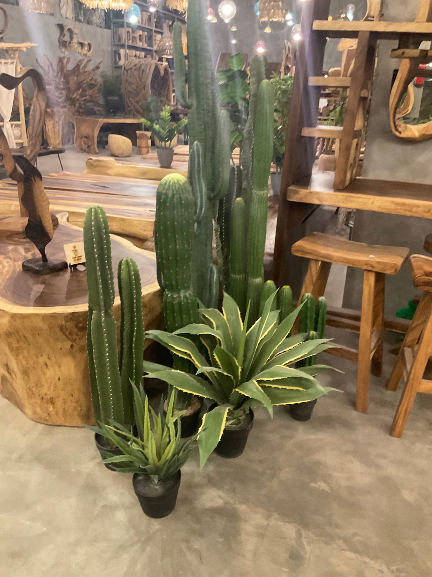 زرع متنوع مع شبكة ميا مع التنسيق