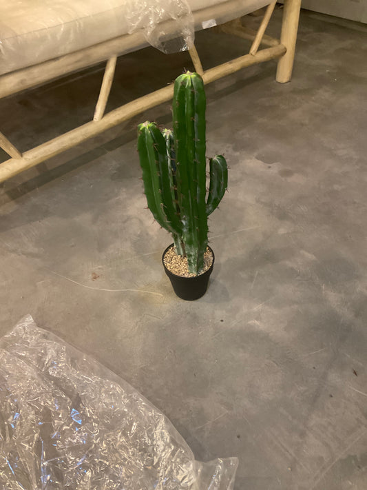 صباره صغيره 2