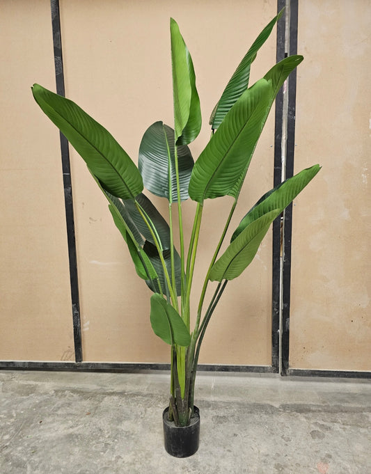 T 15 with pot