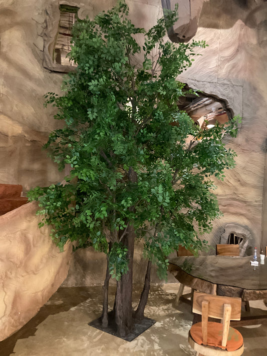 Plant .p.480.L 4m