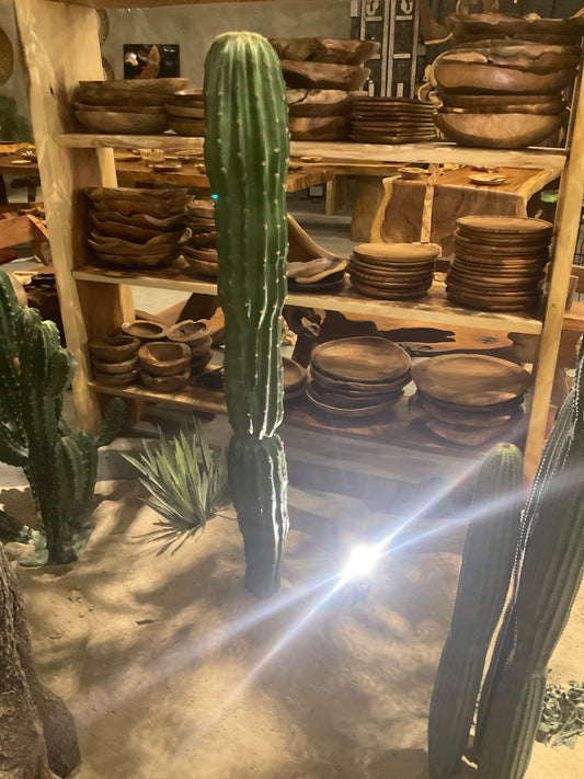 صبارة ١